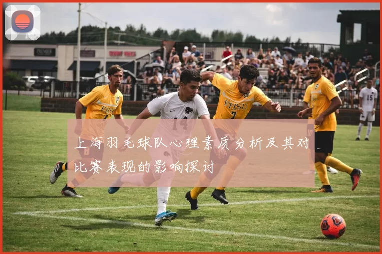 上海羽毛球队心理素质分析及其对比赛表现的影响探讨