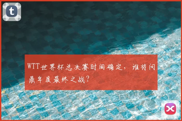 WTT世界杯总决赛时间确定,谁将问鼎年度最终之战?