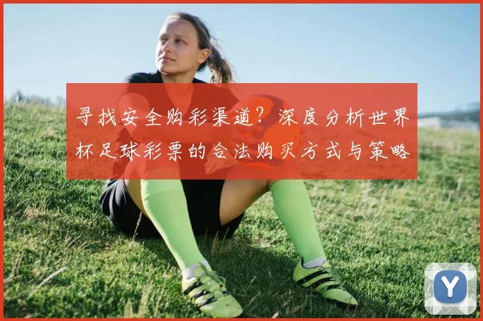 寻找安全购彩渠道？深度分析世界杯足球彩票的合法购买方式与策略