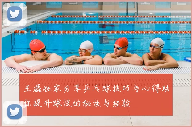 王磊独家分享乒乓球技巧与心得助你提升球技的秘诀与经验