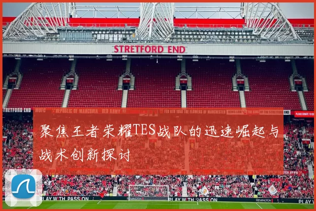 聚焦王者荣耀TES战队的迅速崛起与战术创新探讨
