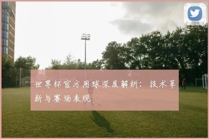 世界杯官方用球深度解析:技术革新与赛场表现