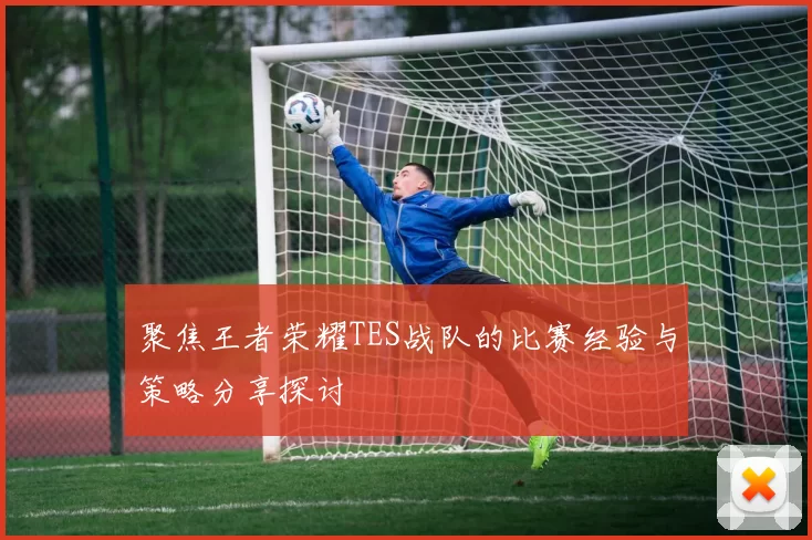 聚焦王者荣耀TES战队的比赛经验与策略分享探讨
