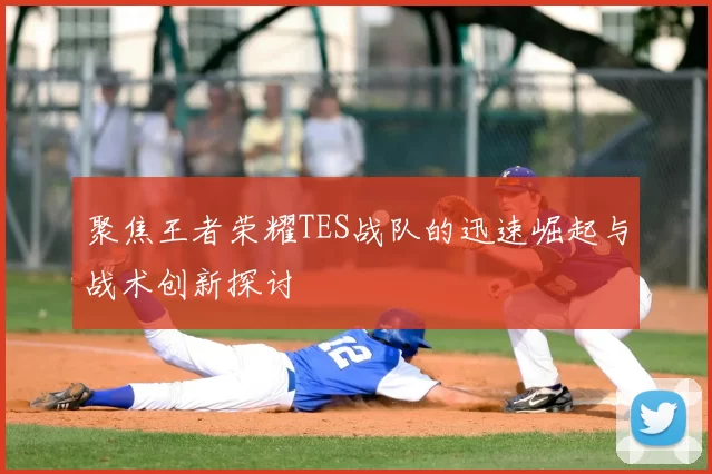 聚焦王者荣耀TES战队的迅速崛起与战术创新探讨