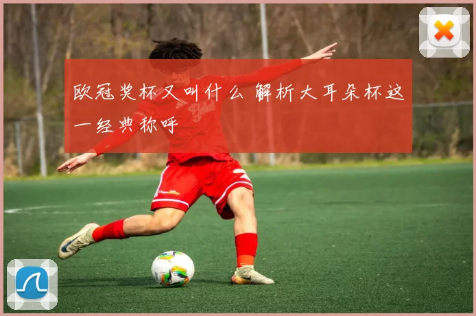 欧冠奖杯又叫什么 解析大耳朵杯这一经典称呼