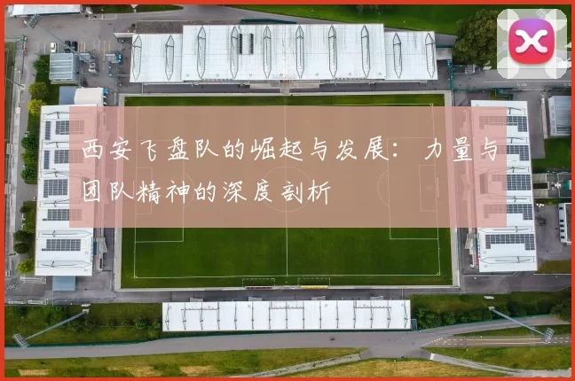 西安飞盘队的崛起与发展：力量与团队精神的深度剖析