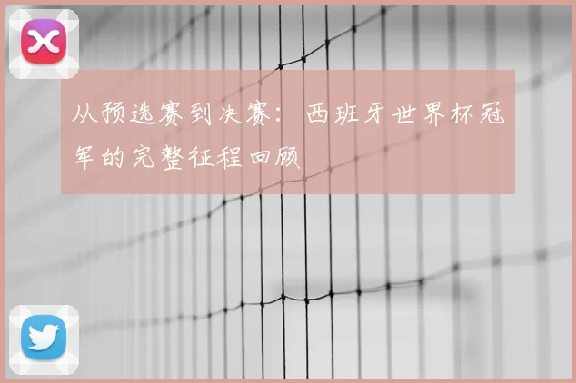 从预选赛到决赛:西班牙世界杯冠军的完整征程回顾