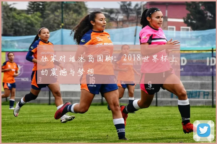 独家对话冰岛国脚:2018世界杯上的震撼与梦想