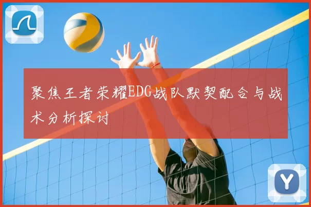 聚焦王者荣耀EDG战队默契配合与战术分析探讨