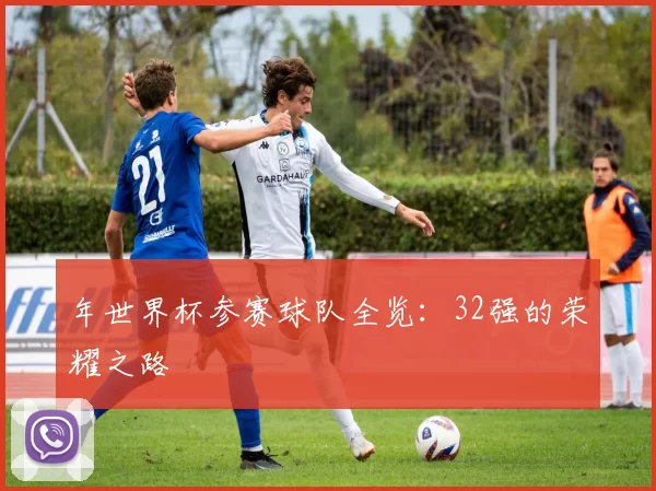 年世界杯参赛球队全览：32强的荣耀之路