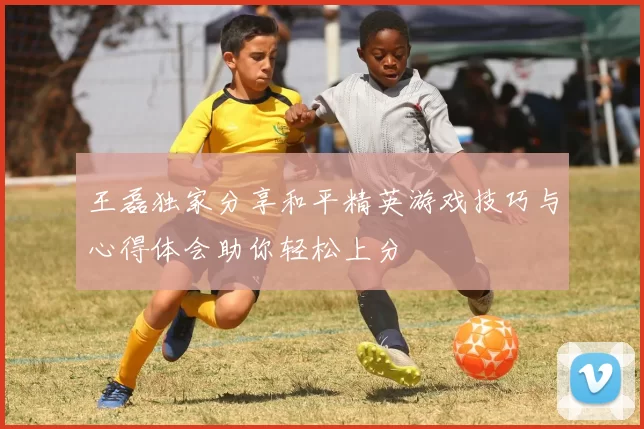 王磊独家分享和平精英游戏技巧与心得体会助你轻松上分
