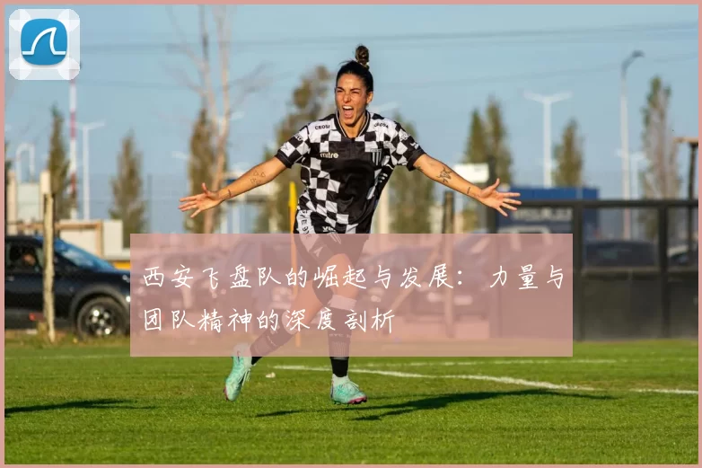 西安飞盘队的崛起与发展：力量与团队精神的深度剖析